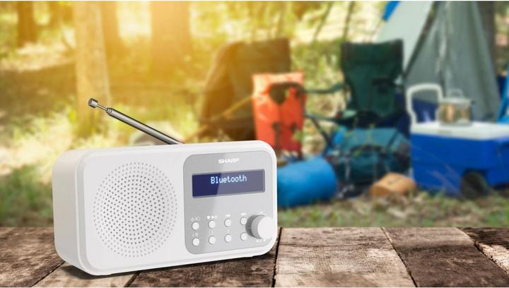 Actual product image Sharp DR-P420 (DAB+, DAB, FM, Bluetooth)