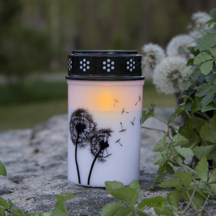Produktbild Star Trading LED Grablicht Dandelion (1 x)