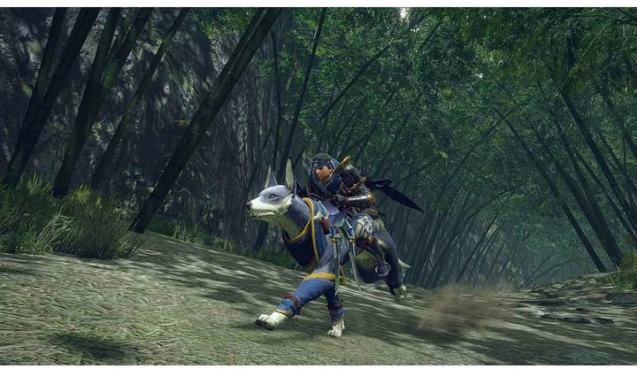 Actual product image Nintendo Monster Hunter Rise (Switch, Multilingual)