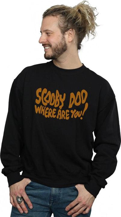 Produktbild Scooby Doo Where Are You Spooky Sweatshirt (S)