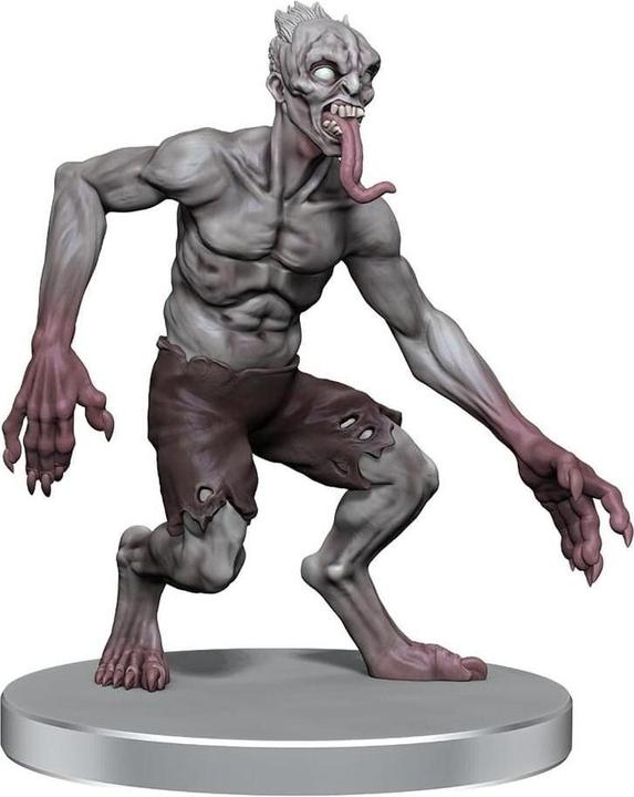 Image du produit Wizkids D&D Classic Collection miniatures prépeintes Monstres G-J Boxed Set