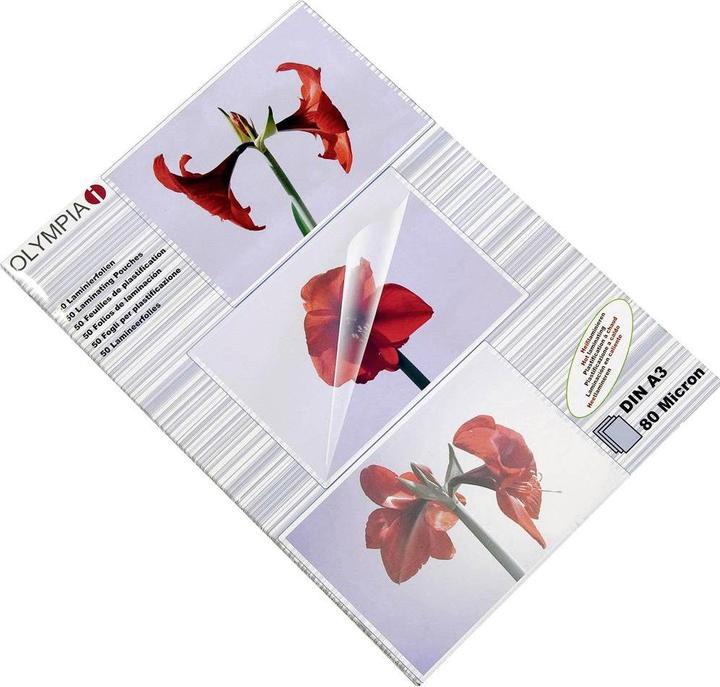 Actual product image Olympia 9174 (A3, 50 Piece, 80 µm)