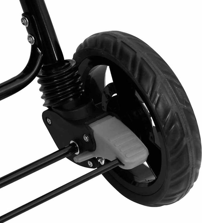Actual product image VidaXL Hermolaos