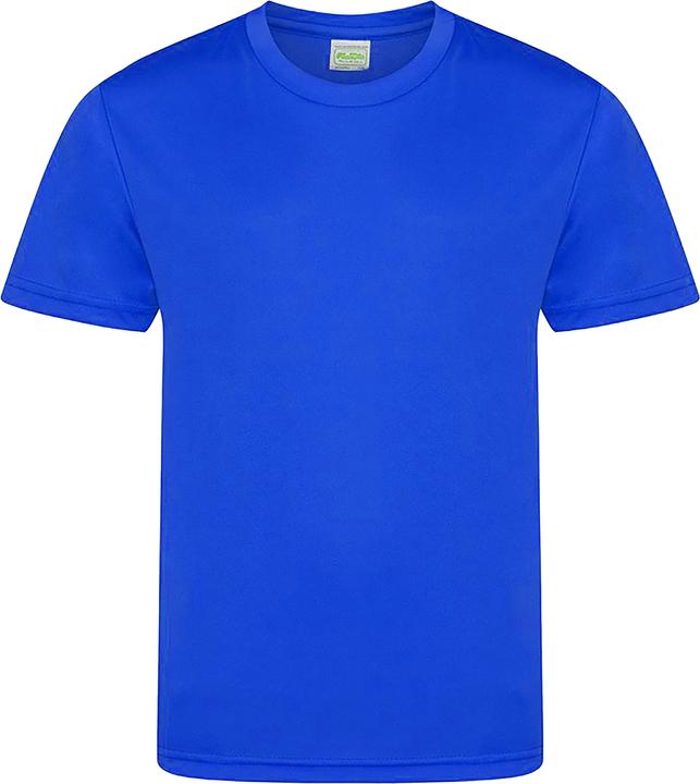 Bleu roi