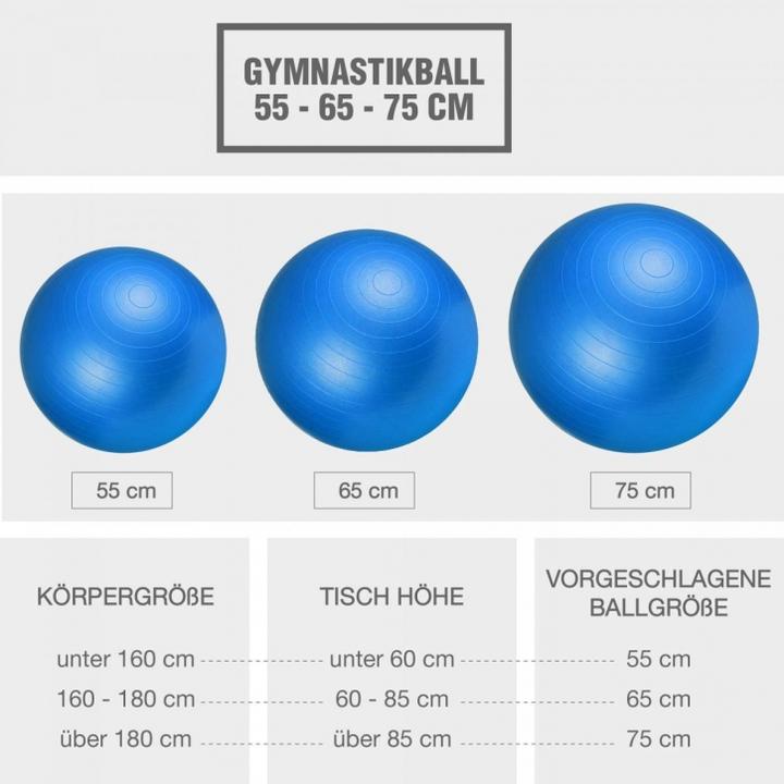 Actual product image Gorilla Sports Gymnastikball 355 (65 cm)