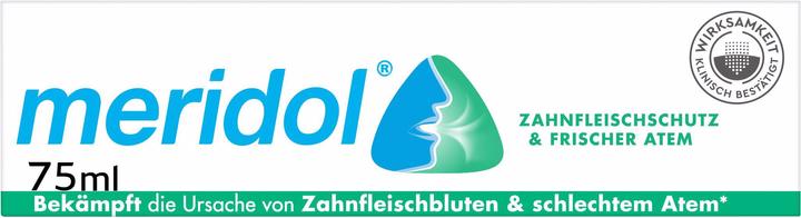 Actual product image Meridol Gum Protection & Fresh Breath (75 ml)