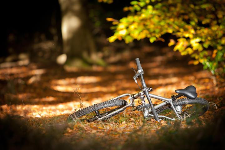 Produktbild Early Rider Belter Trail 3 (20")