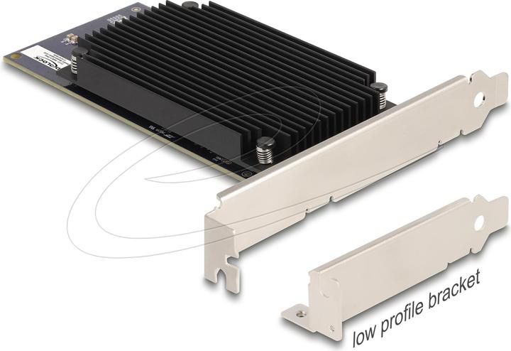 Actual product image Delock PCI Express x8 Hailo-8 AI processor x2 AI acceleration