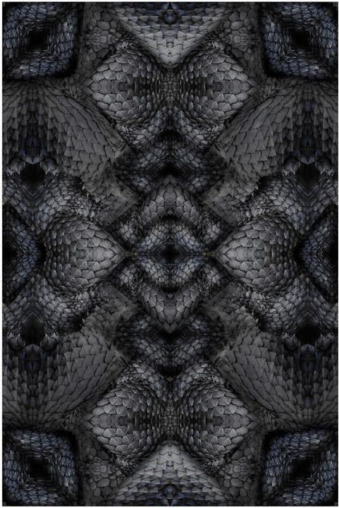 Actual product image Moooi Dwarf Rhino Carpet (200 x 300 cm)