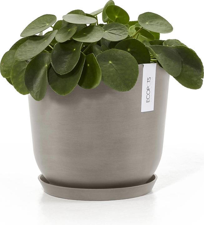 Immagine prodotto Ecopots Piattino rotondo 21