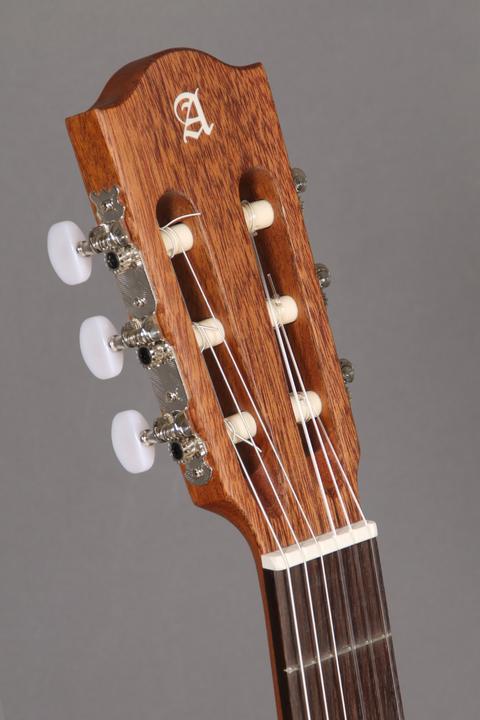 Actual product image Alhambra Z-Nature CT EZ (Semi acoustic guitar)
