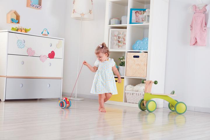 Actual product image Hape Birdie