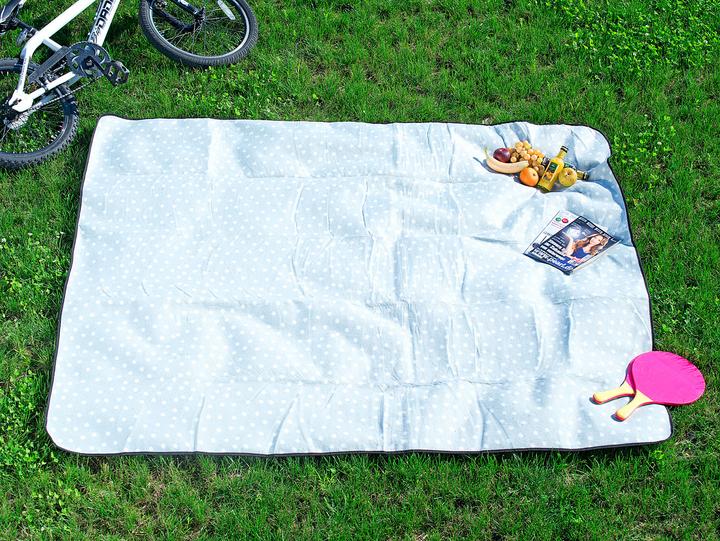 Actual product image Wilson Gabor Set of 2 water repellent fleece picnic blankets