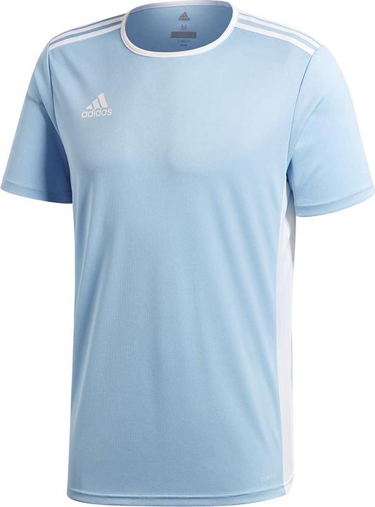 Actual product image adidas Entrada 18 Football Shirt Kids (128)