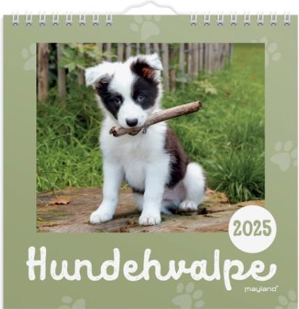 Produktbild Mayland-Burde Vaegkalender mini Hundehvalpe 2025