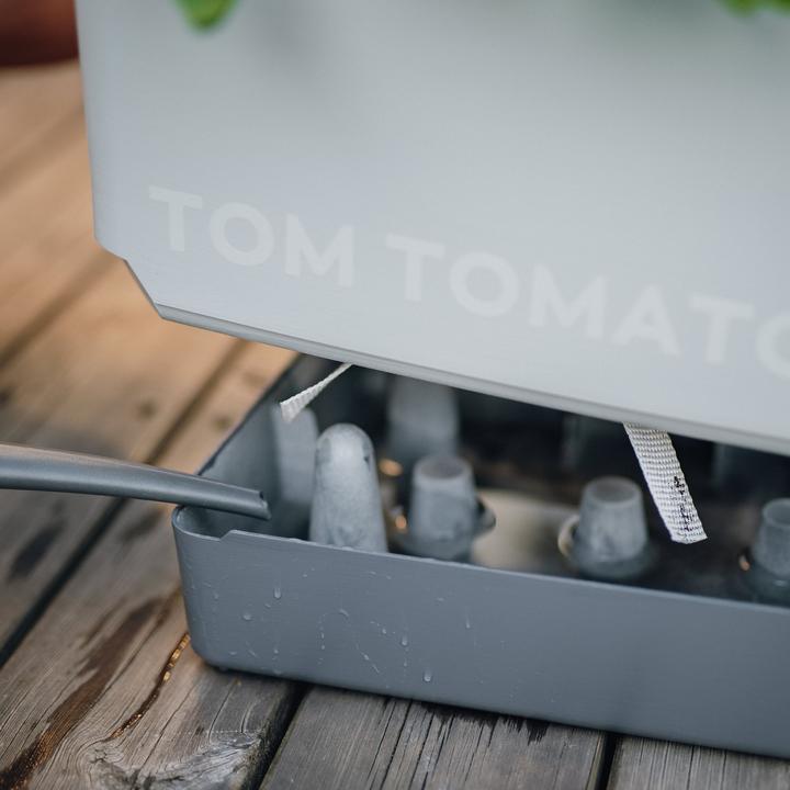 Produktbild Gusta Garden Tom Tomato (35 cm)
