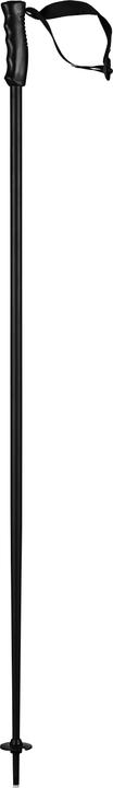 Immagine prodotto Head Testa del bastone da sci Multi 2024 (125 cm)