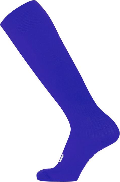 Bleu roi