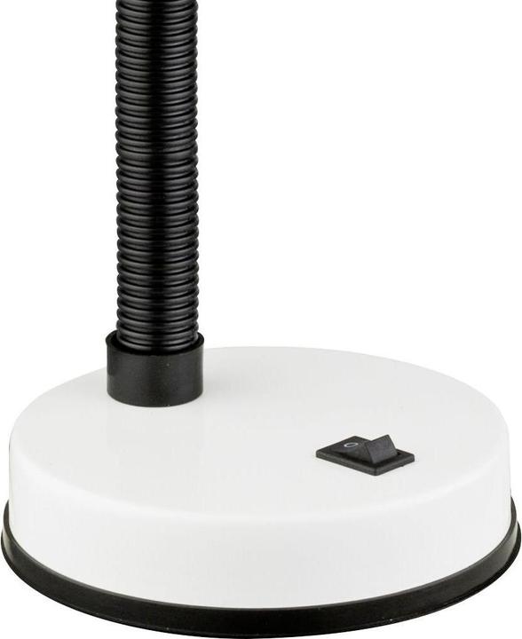 Actual product image Lipo Lucia