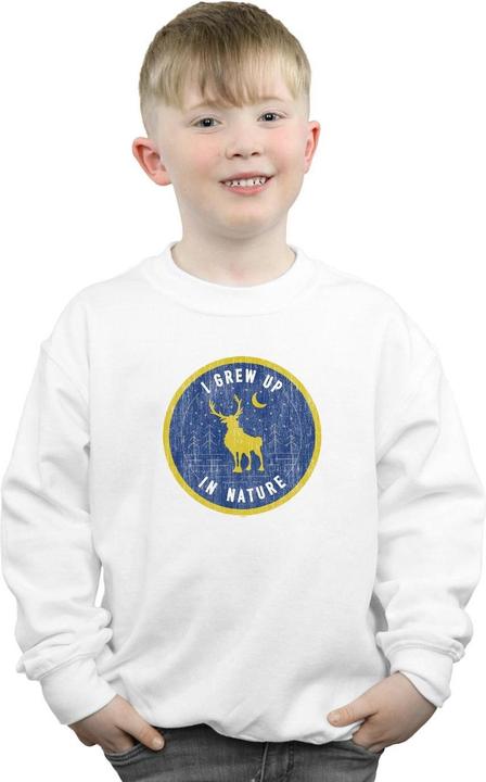 Produktbild Disney Frozen 2 Sven I Grew Up In Nature Sweatshirt Jungen (152, 158)