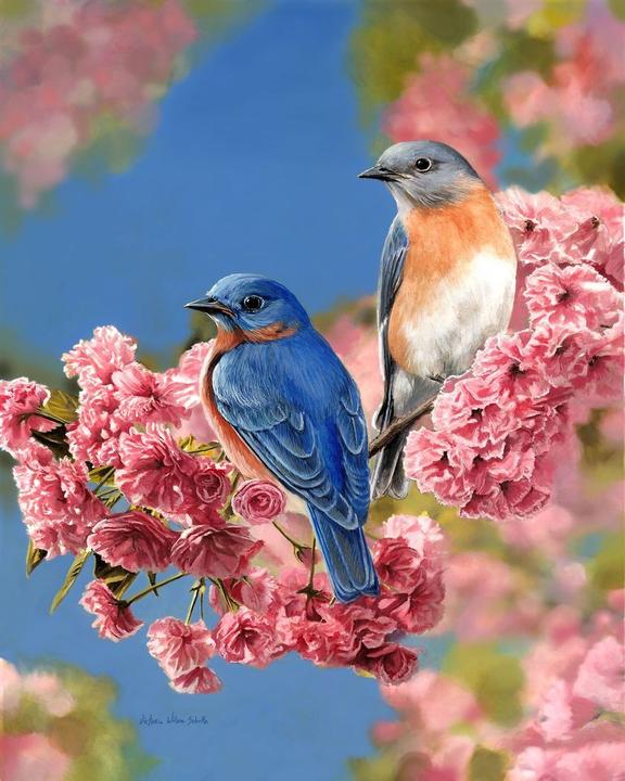Image du produit Figured'Art Peinture par Numéros - Couple d'Oiseaux bleu