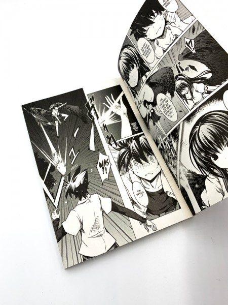 Immagine prodotto Panini HighSchool DxD 01 (Tedesco, Hiroji Mishima, Ichiei Ishibumi, 2013)