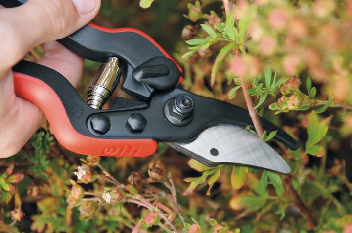 Produktbild Felco Baumscheren