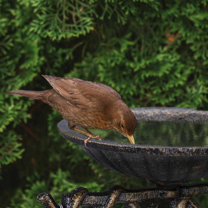 Produktbild Relaxdays Vogeltränke