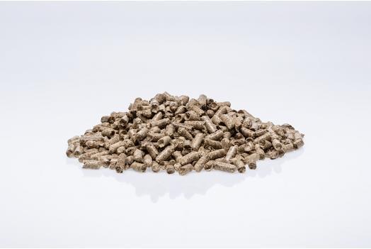 Produktbild Grillson Premium Eiche Pellets