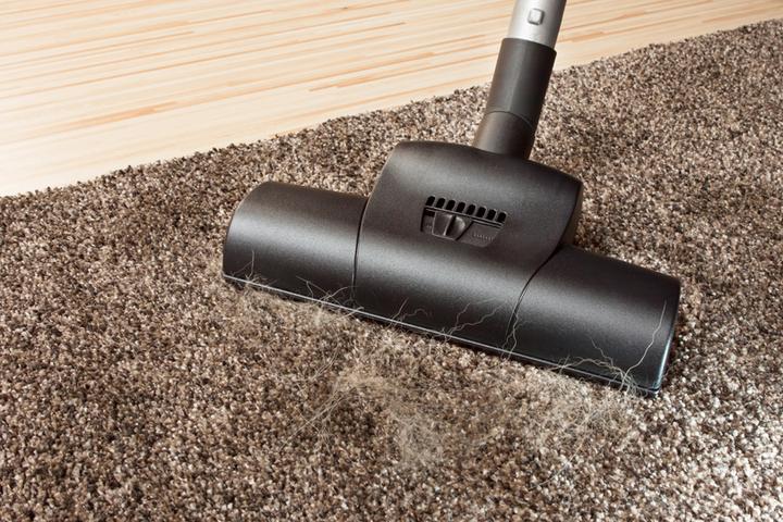 Image du produit Wessel-Werk Suceur anti-poils d'animaux TK 280