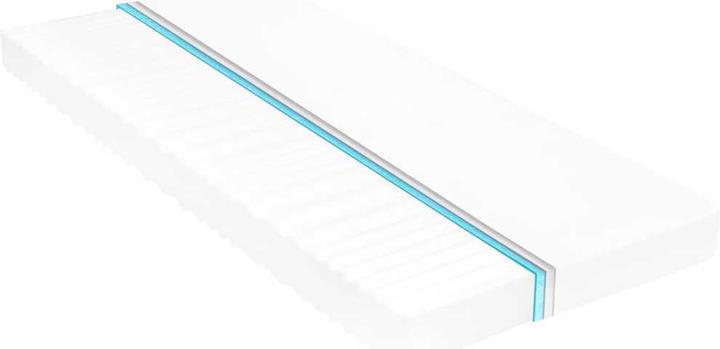 Immagine prodotto VidaXL Webster (80 x 200 cm, Nucleo di schiuma)