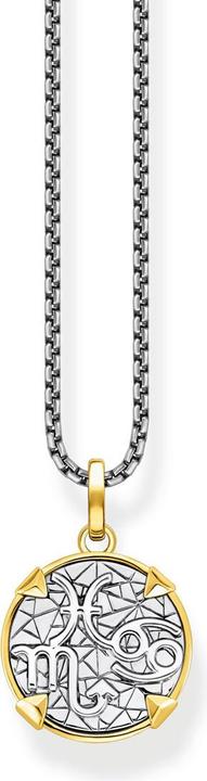 Image du produit Thomas Sabo Collier Elements of Nature or (Argent 925, 45 - 50 cm)