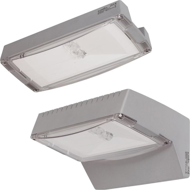Ceag LED safety luminaire 5W 225lm 0h 2LEDs wall-mounted 24m IP65 auto.self.decentralised