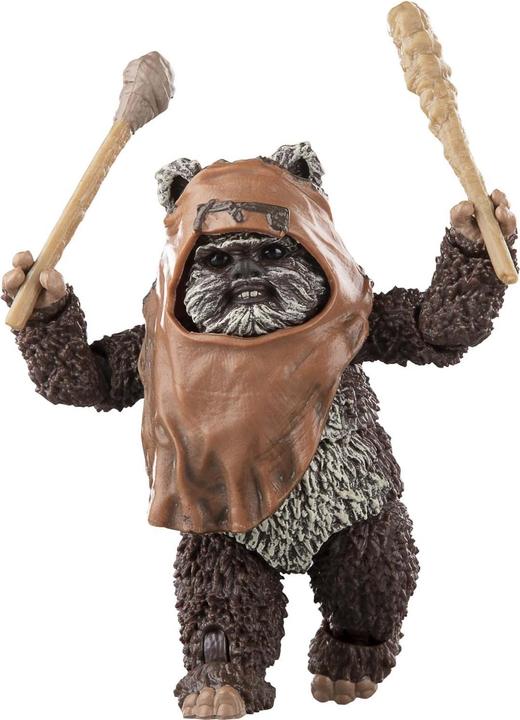 Actual product image Hasbro Star Wars Episode VI Black Series figurine Wicket 15 cm