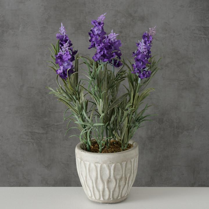 Actual product image Boltze Home Lavender (32 cm)