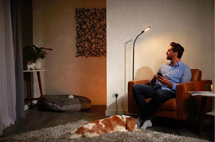 Actual product image Philips Hue SmartPlug CH