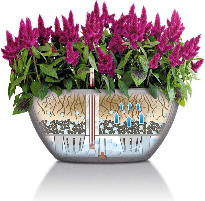 Produktbild Lechuza Cubeto Color (40 cm)