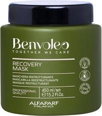 Produktbild Alfaparf Alfa Benvoleo Recovery Mask 450ml (450 ml)