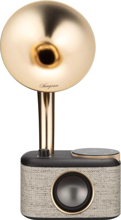 Actual product image Sangean CP 100D (DAB+, FM, Bluetooth)