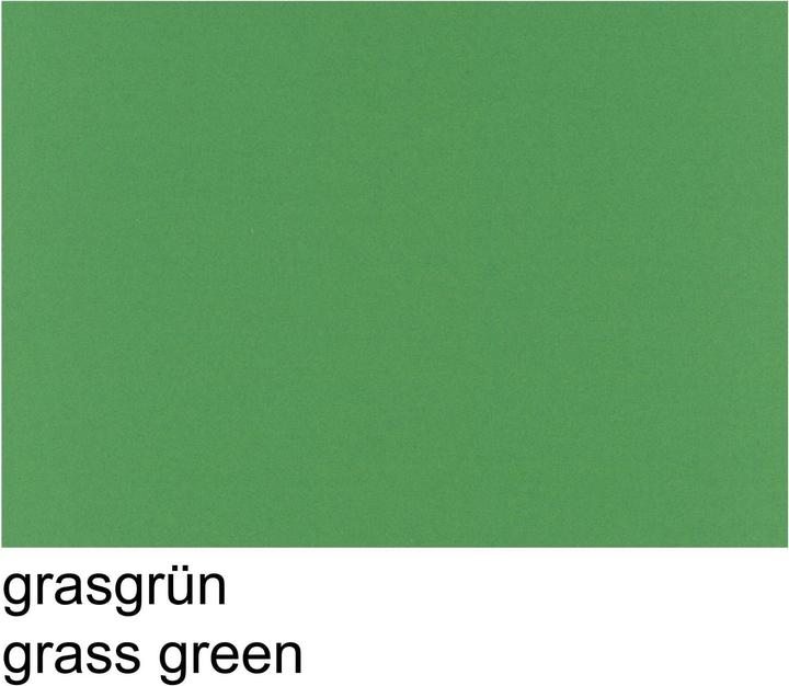 Actual product image Papyrus Clay characters A4 130g grass green (130 g/m², 100 x)