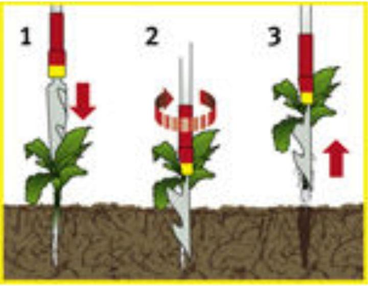 Produktbild Wolf-Garten iW-M Distelstecher