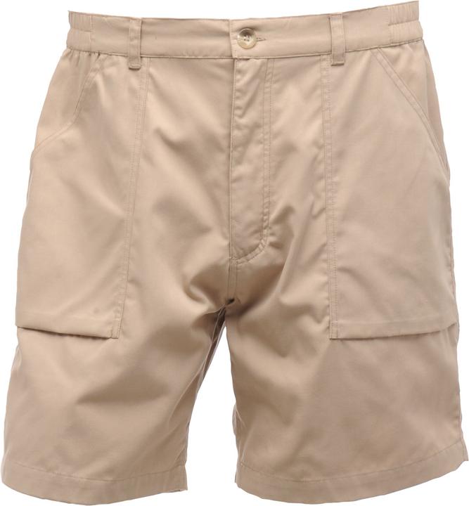Regatta New Action Shorts