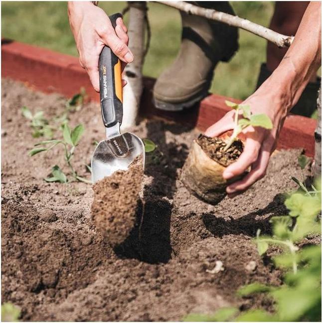 Actual product image Fiskars Xact Garden Trowel Stainless Steel, Stainless Steel