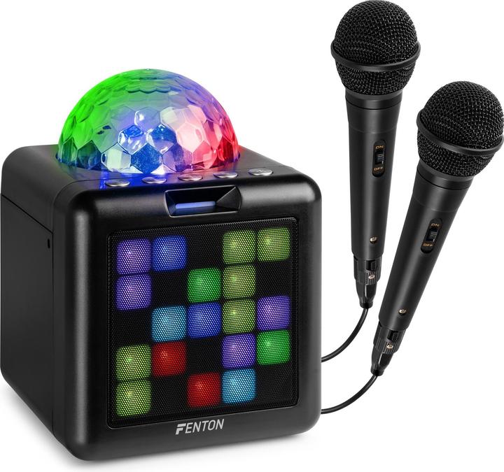 Immagine prodotto Fenton Altoparlante KAR15B con 2 microfoni (1x 15 W)
