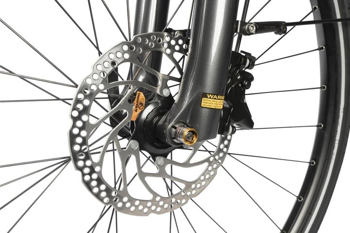 Produktbild Kalkhoff E-Trekkingbike Endeavour Herren 5.S Advance XL 58 cm (58 cm)