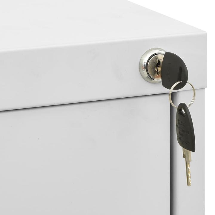 Immagine prodotto VidaXL Aktenschrank (46 x 62 x 133 cm)