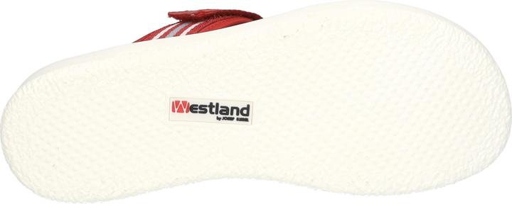 Actual product image Westland 25404-410 (38)