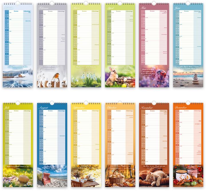 Actual product image TrötschMaxi-StreifenkalenderOmasKalender2026 (German)