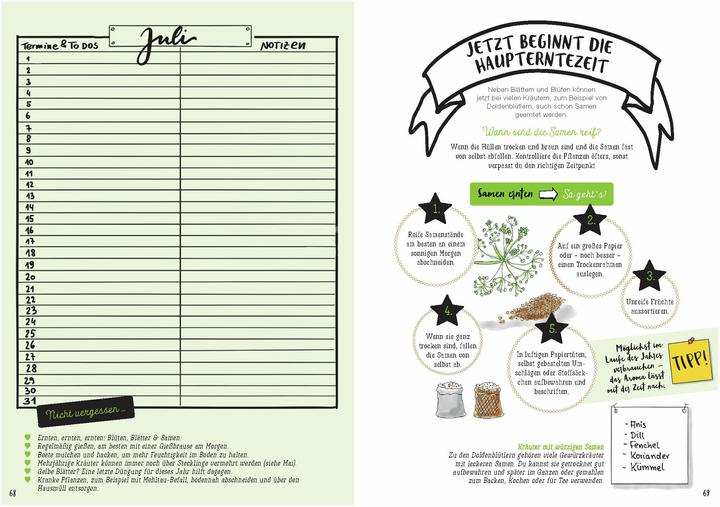 Produktbild Mein Kräuter-Jahr - Das informative Bullet Journal - Monat für Monat (Deutsch, Diana Meier-Soriat, 2025)