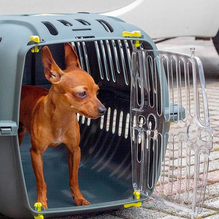 Actual product image Ferplast 2 Carrying device for animals pet transport box (Cat, Small animal, Dog, Foldable)